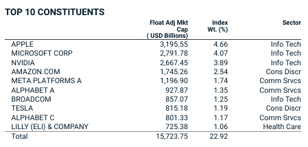 Die größten Positionen aus dem MSCI World Index